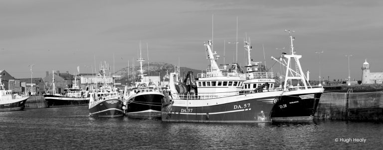 Trawlers in Harbour